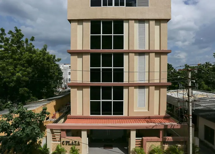 Treebo C Plaza